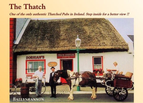 The Thatch - Image 2