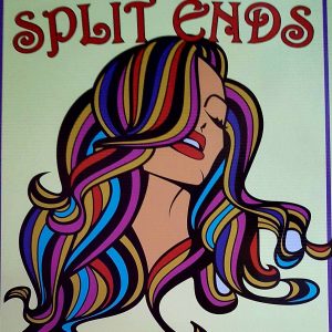 Split Ends Hair Salon