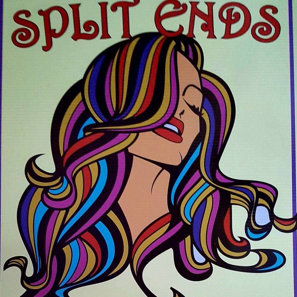 Split Ends Hair Salon