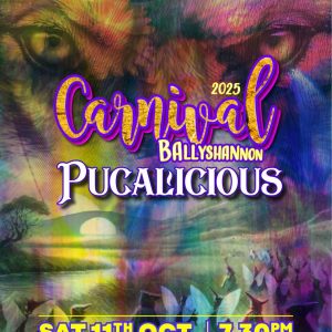 Ballyshannon Carnival 'Pucalicious' 2025