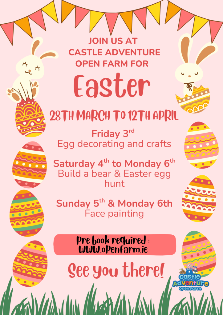 Castle Adventure Reopening