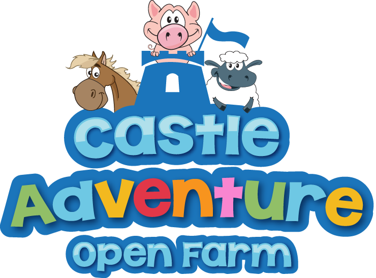 Castle Adventure Reopening